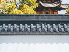 -龙华寺