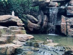 -燕塞湖鸟语林景区