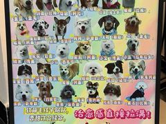 -汪说·狗咖·拼豆·宠物周边DIY(旺城大厦店)
