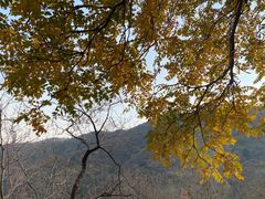 -香山公园