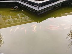 -杭州电子信息职业学校(丁桥校区)