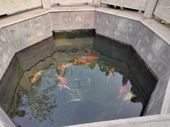 -西安市广仁寺