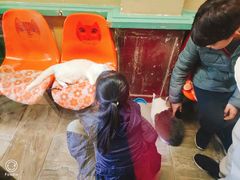 -猫咪博物馆(顶澳仔猫街店)