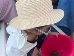 -日照世帆赛基地