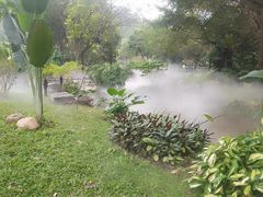 -东莞植物园