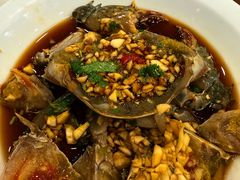 生腌海鲜-长平肥姐白粥·海鲜打冷