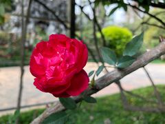 -人民公园(罗湖区)