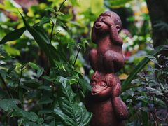 -上海辰山植物园