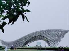 -南汇新城城市公园