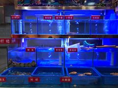 -小龍鳳·港式海鲜打边炉(沙湖路店)
