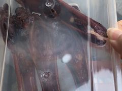 -陈光记烧腊(长寿路店)