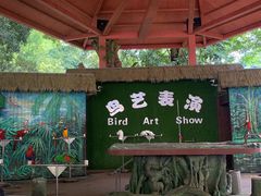 -西双版纳原始森林公园