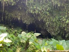 -海口火山口国家地质公园