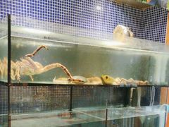 -万鱼亭 日本料理(无锡香山名园店)