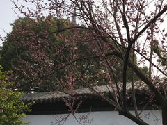 -常熟方塔园