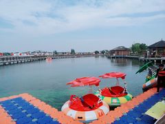 -鹅湖玫瑰文化园