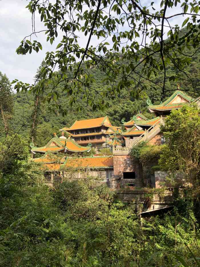 南海湾森林生态园-"去了,因为下雨景区不让进了,但空气是真的.