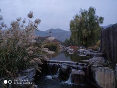 -静之湖湖畔餐厅