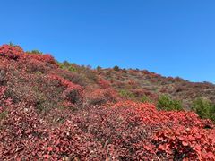 -水峪民俗村