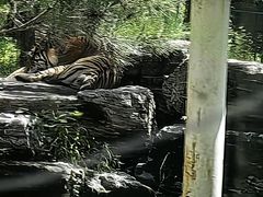 -秦皇岛野生动物园