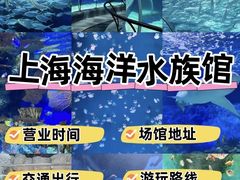-上海海洋水族馆