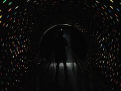 -贝壳梦幻世界
