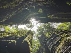 -梭布垭石林景区