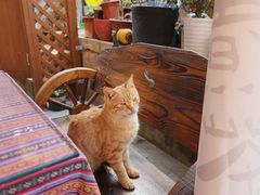 -鱼乐岛餐厅·户外花园主题餐厅