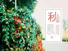 -北京张裕爱斐堡酒庄