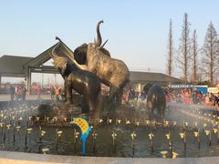 -临沂动植物园