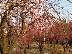 -杭州半山国家森林公园