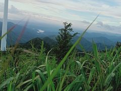 -东白山