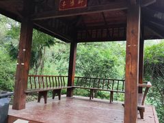 -青龙山国家森林公园