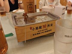 -福苗小骆驼烧烤(莲湖路店)