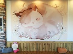 -猫的茶·猫咖