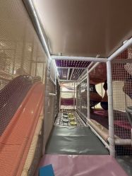 -奈尔宝家庭中心·亲子餐厅(华采天地店)