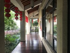 -太极禅苑