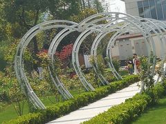 -昆山城市生态森林公园