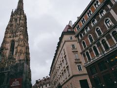 -斯蒂芬主教座堂(Stephansdom)