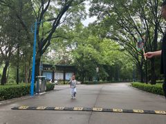 -森林公园(尖草坪区)