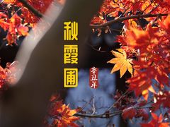 -秋霞圃