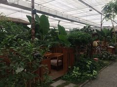 -汤山翠谷生态餐厅