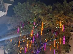 -小厨娘金榜题名(夫子庙秦淮河店)