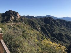 -大岭沟猕猴桃谷风景区