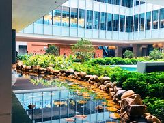-香港大学