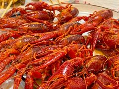 蒸虾-小田油焖小龙虾(双井店)