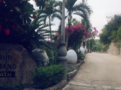 -100蛋泥浆浴