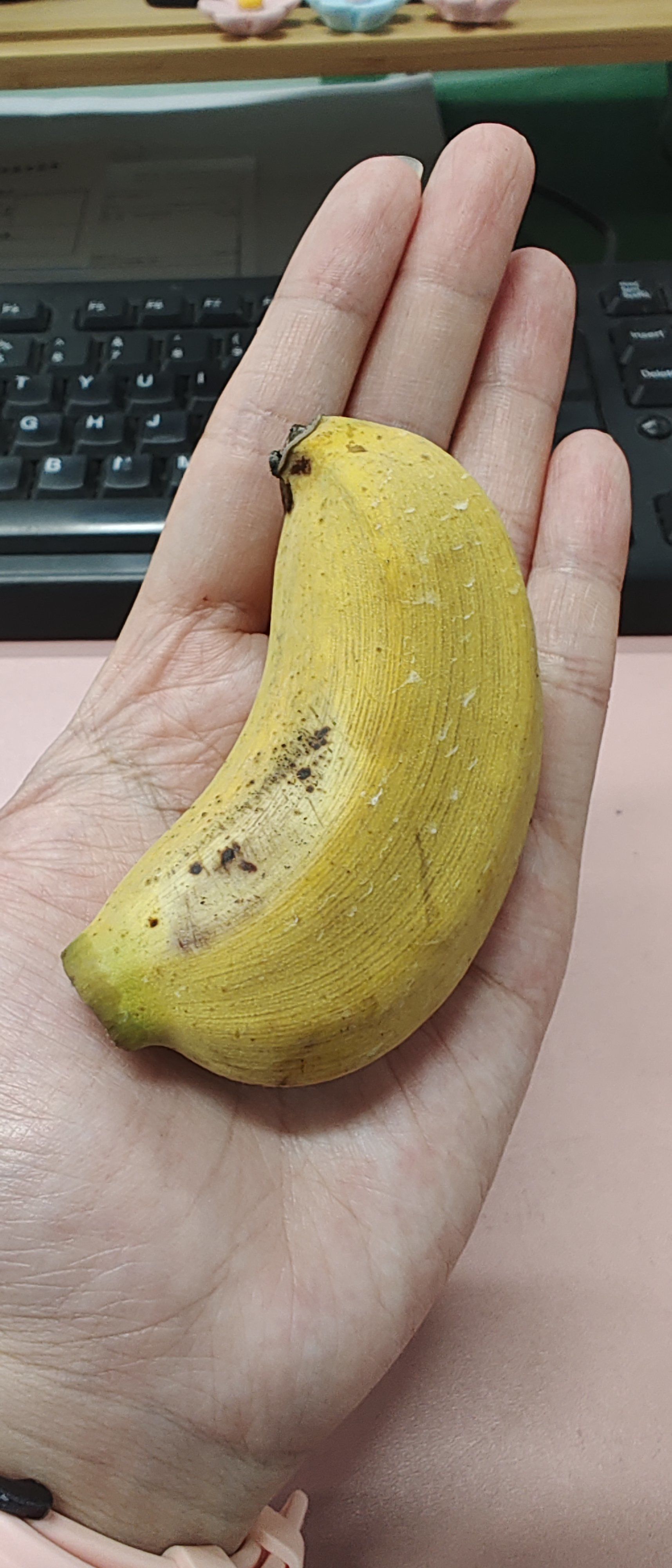 比手掌还小的香蕉