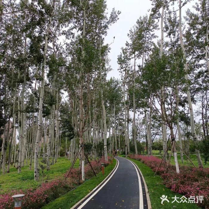 坝河休闲公园图片
