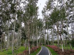 -坝河休闲公园